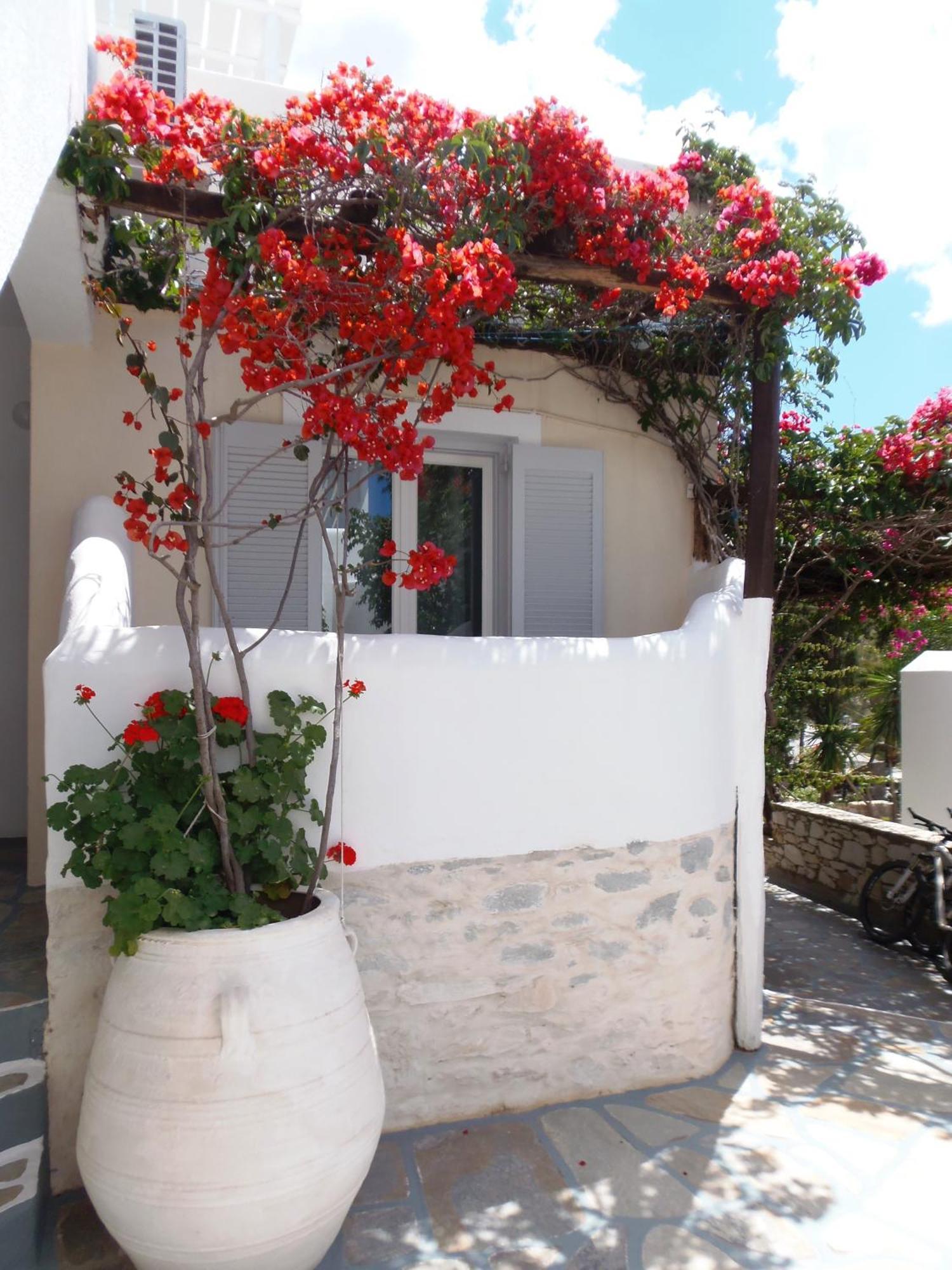 Hotel Manos Naousa  Bagian luar foto